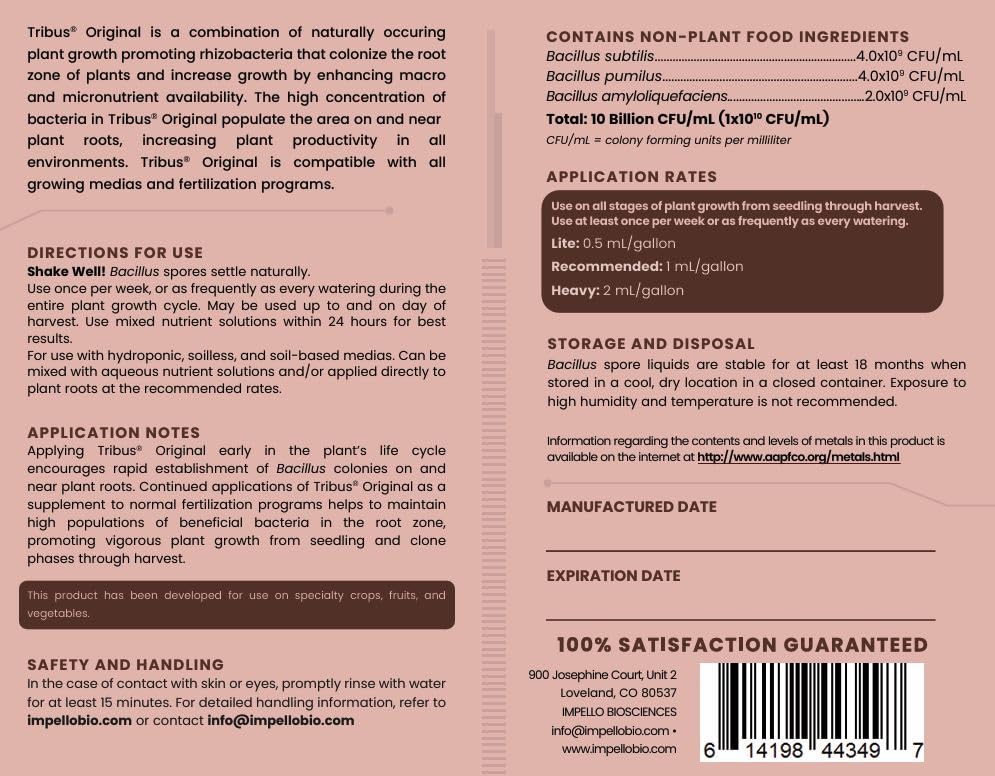 Tribus Organic Microbial Inoculant – Root Booster for Plants, Increases Plant Yield, Root Growth, Flower & Fruit Quality. Bloom Booster. Visible Root Growth in 24Hrs. Packaging May Vary. 33.8 oz