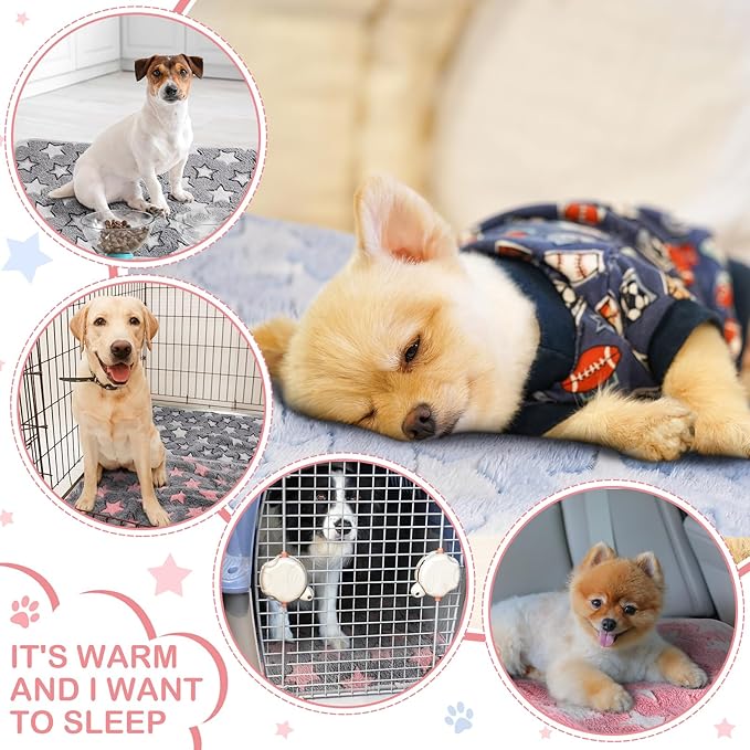Reginary 4 Pcs Waterproof Guinea Pig Blankets Washable Small Animal Fleece Bedding Absorbent Guinea Pig Cage Liners Reusable Pet Pee Pad Sleep Mat for Hamster Ferret(Cute Star Pattern,24 x 16 Inch)