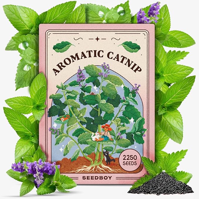 Seedboy Catnip Seeds for Planting Indoor and Outdoor, Non-GMO Herb Seed Packet for Hydroponic Garden Indoor or Planting Outdoors (Catnip)