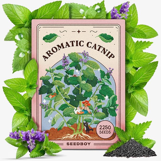 Seedboy Catnip Seeds for Planting Indoor and Outdoor, Non-GMO Herb Seed Packet for Hydroponic Garden Indoor or Planting Outdoors (Catnip)