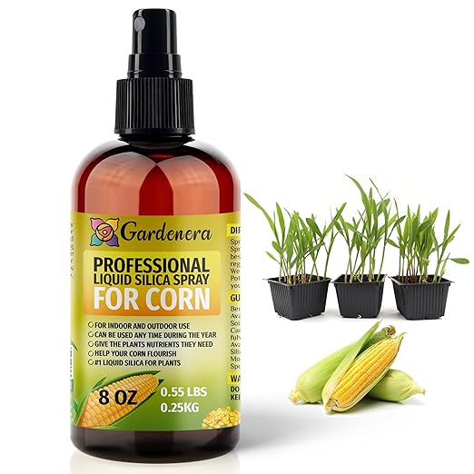 𝐒𝐔𝐏𝐄𝐑𝐈𝐎𝐑 Liquid Silica Boost Fertilizer and Supplement Spray for Corn Plants – Pre-Mixed, Ready-to-Use Liquid Silicon Plant Superfood Mist for Indoor & Outdoor Plants – 8oz