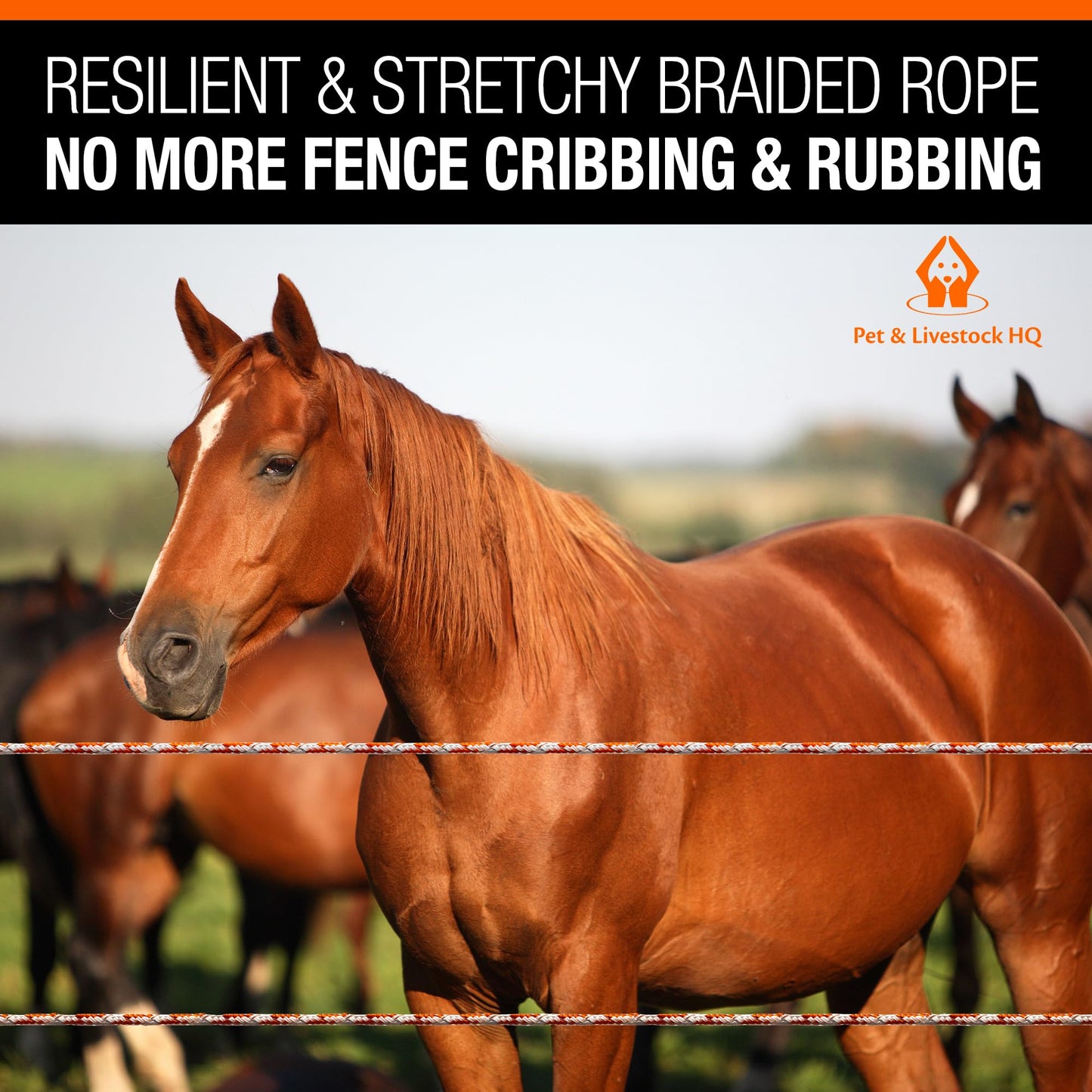 Electric Fence Polybraid 660ft Thickness 1/4" - Premium Heavy Duty Braided Polyrope - High Visible Rope Fencing for Horse, Cattle, Livestock - 6 Wire Conductors: 2X Cooper and 4X Stainless Steel