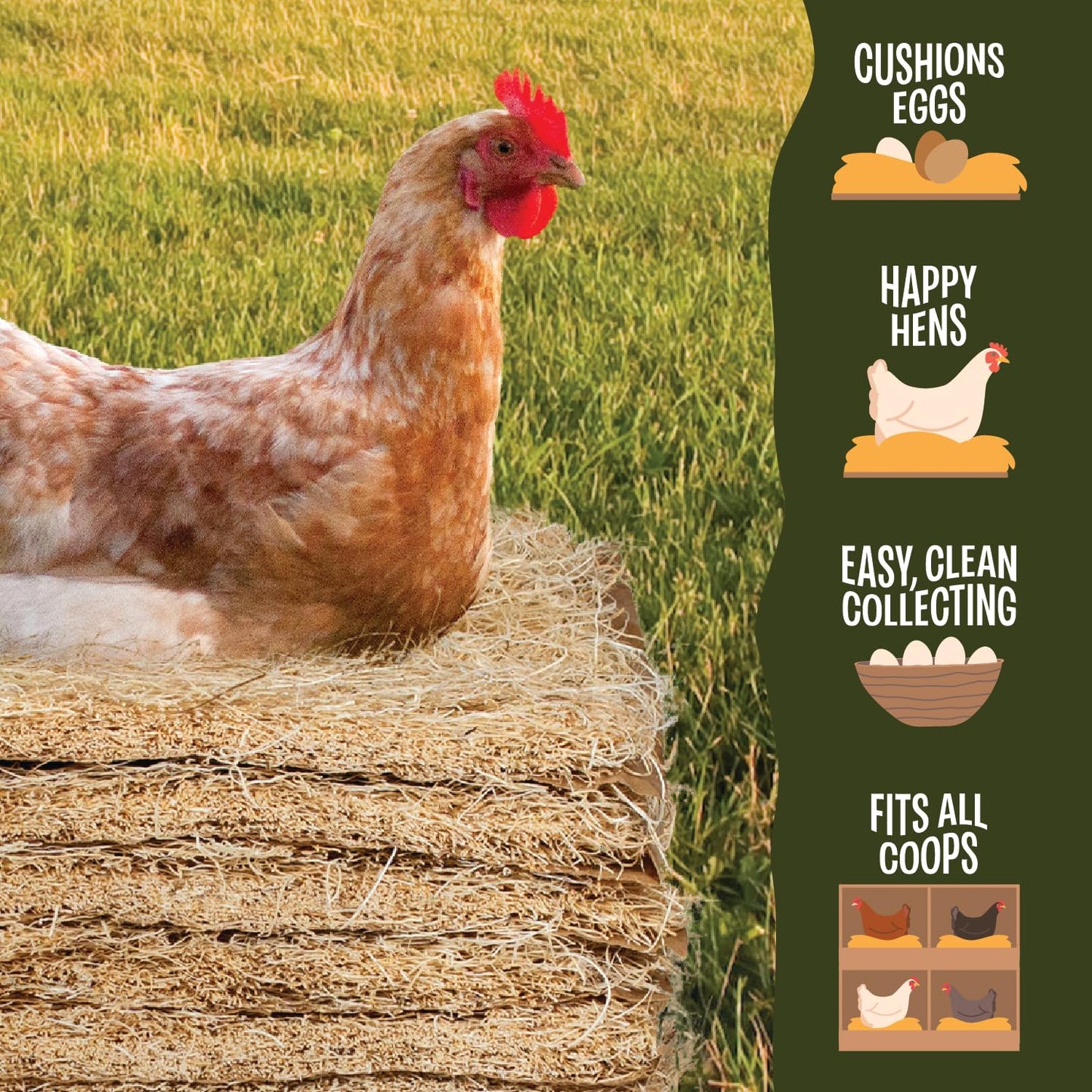 MagJo Premium Aspen 12 Pack Excelsior Nesting Liners (12 Pack), Chicken Bedding for Nesting Box, Nesting Pads Box Liners, Chicken Bedding for coop, Chick Bedding, USA Grown & Sustainably Harvested