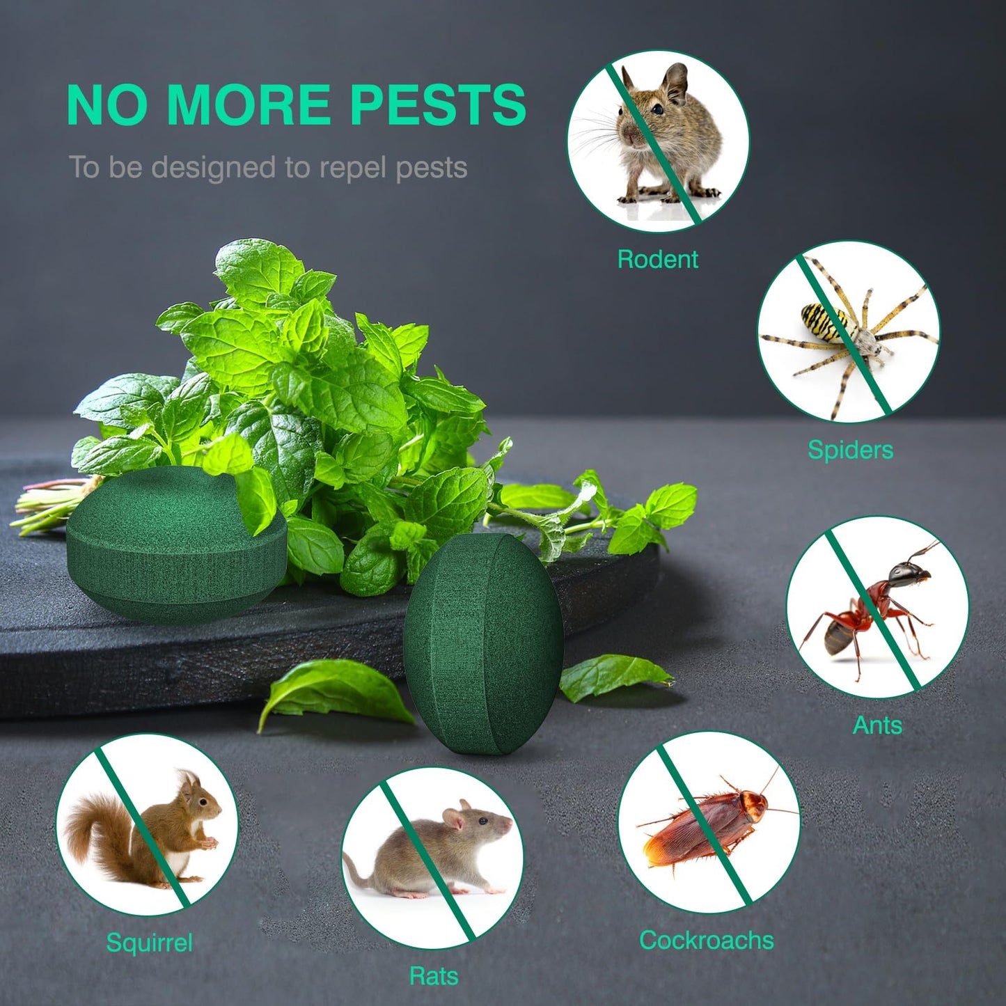 24 Pack Mouse Rodent Repellent, Natural Peppermint Oil, Mice, Rat, Squirrel, Pest Control, Rodent Repellent for Indoor Outdoor Use(Light Green)