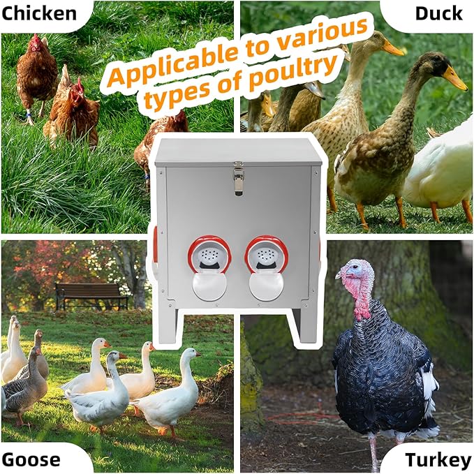 Automatic Poultry Chicken Feeder No Waste Metal Large Capacity 30 lbs Feeders for Chickens Ducks, Geese Bantams Pheasants Coop Weatherproof (6-Port)