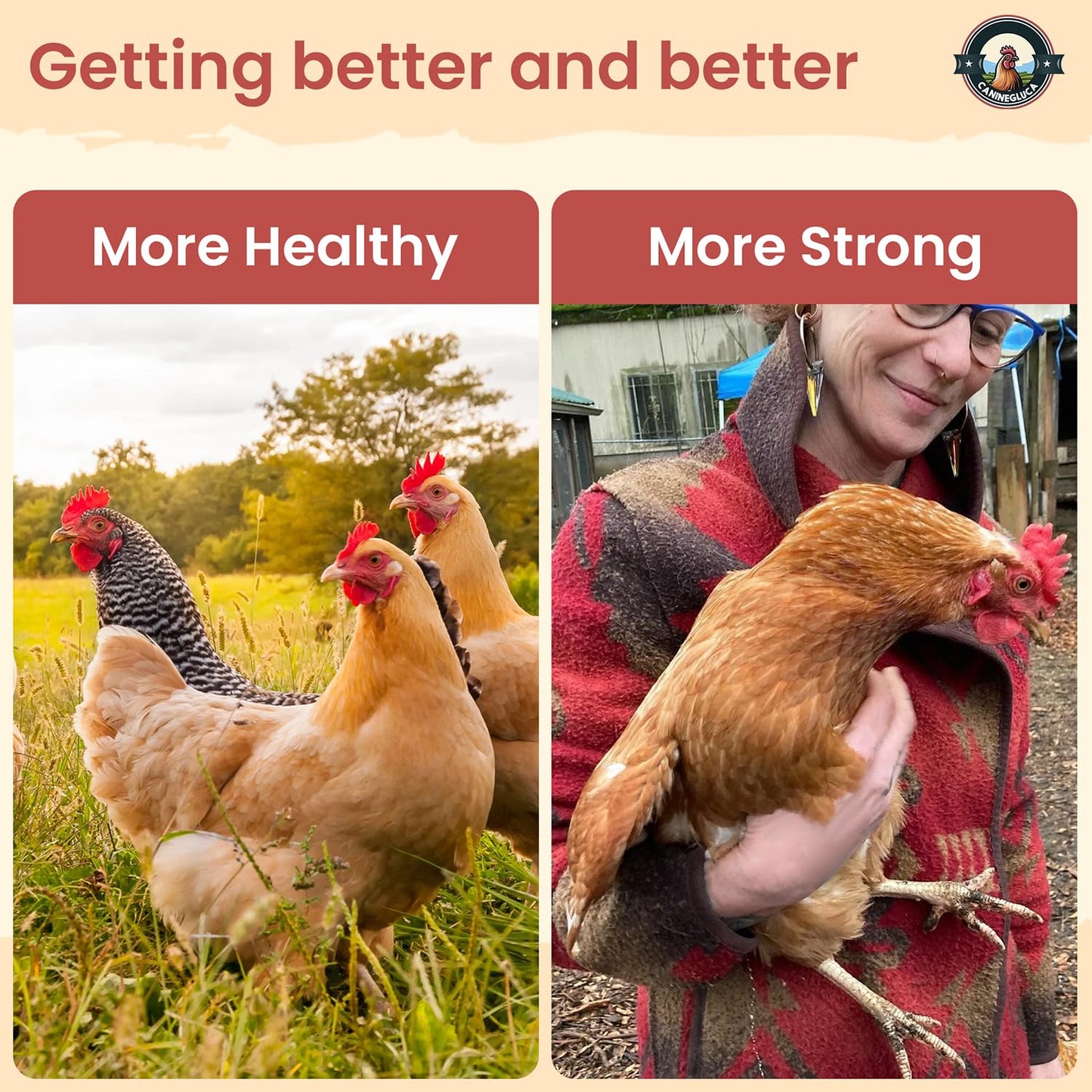 CanineGluca Chicken Dewormer Powder, All-Natural Health Formula, 1LB Pouch, US-Made,Safe for Eggs, Effective for All Ages & Sizes, Chicken Wormer, Prevents and Relieves Worm, Poultry Medicine Supplies
