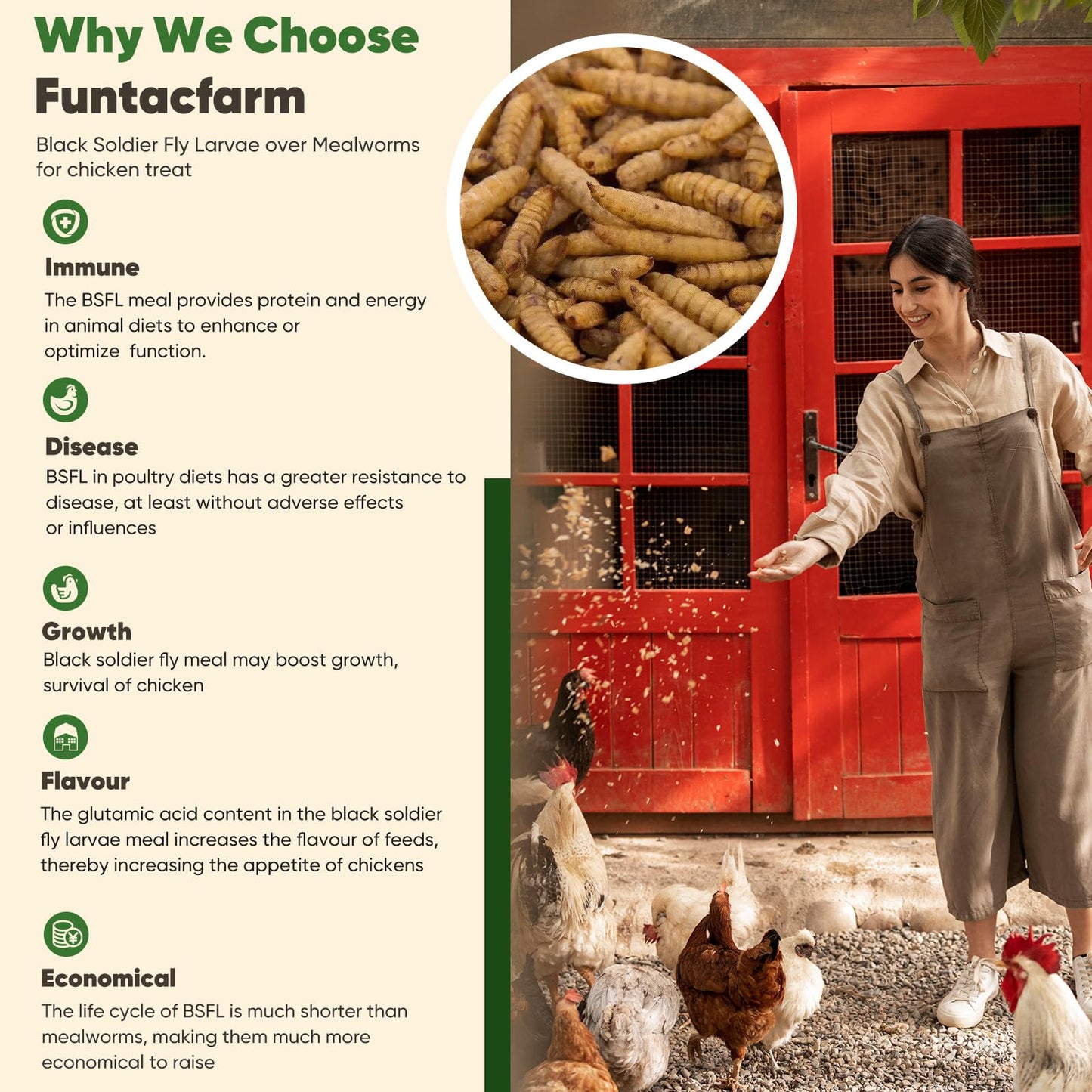Funtacfarm Dried Worms Black Solider Fly Larvae 5LB, Superior to Mealworms Chicken Treat, 86x Calcium Than Meal Worms, 100% Non-GMO Organic Chicken Feed