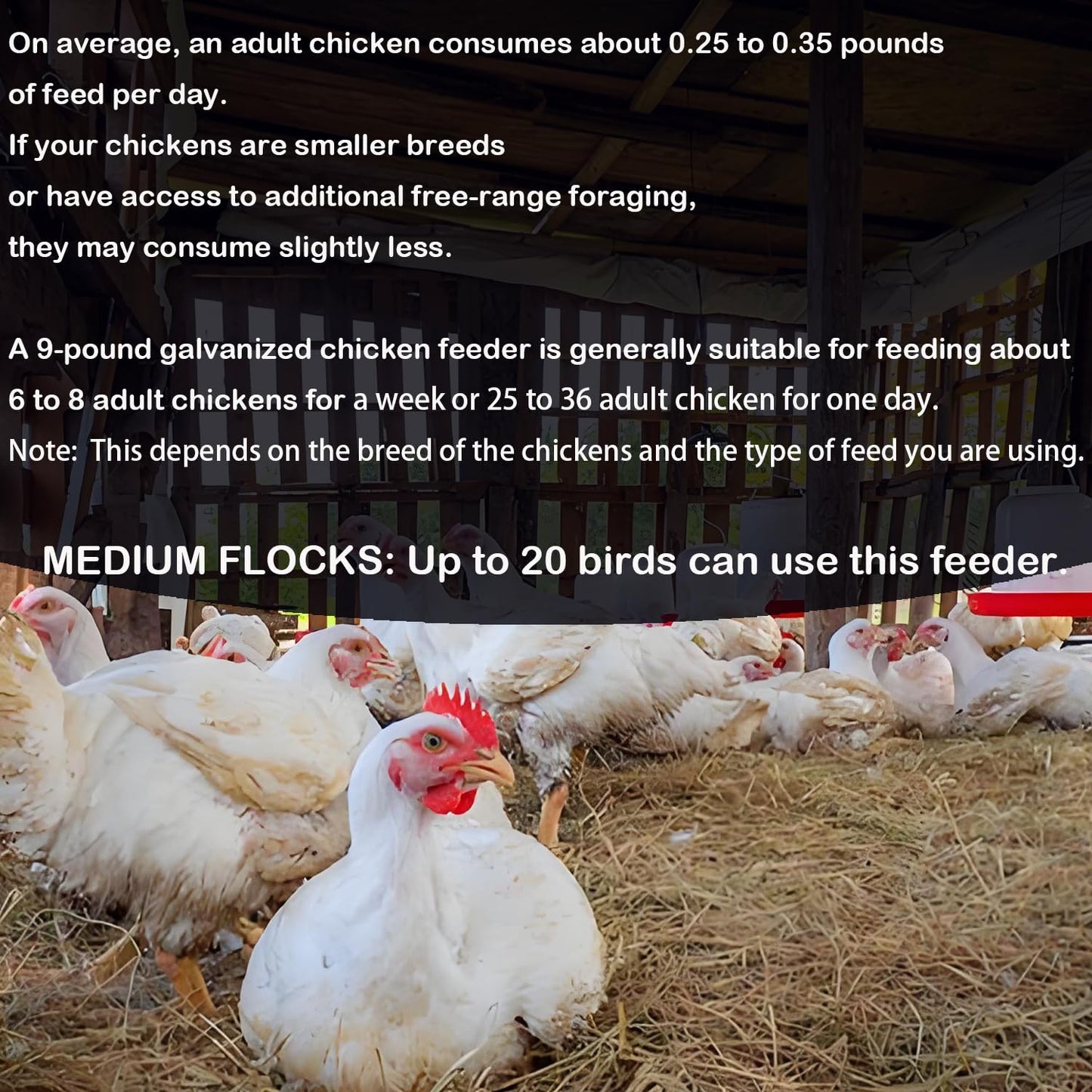 HomeCheer Galvanized Chicken Feeder with Lid - 9 Pounds Capacity - Durable and Rust-Resistant Poultry Feeder for Chickens, Ducks, and Other Poultry HC122 (9 lb)