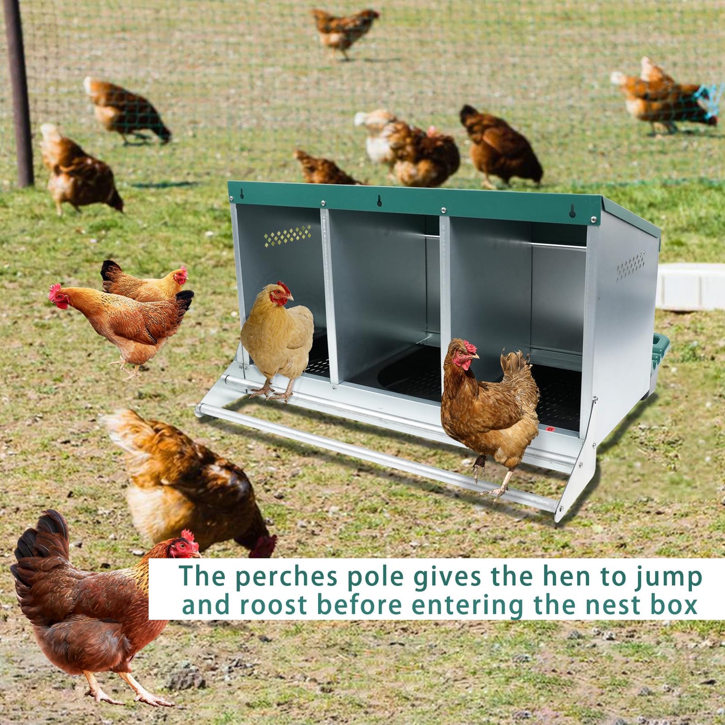 Chicken Nesting Box, 3 Holes Nesting Boxes, Heavy Duty Metal Laying Boxes, Roll Away Nesting Box Egg Collection Tray, with Roosting Pole for Chicken Coop(Green)