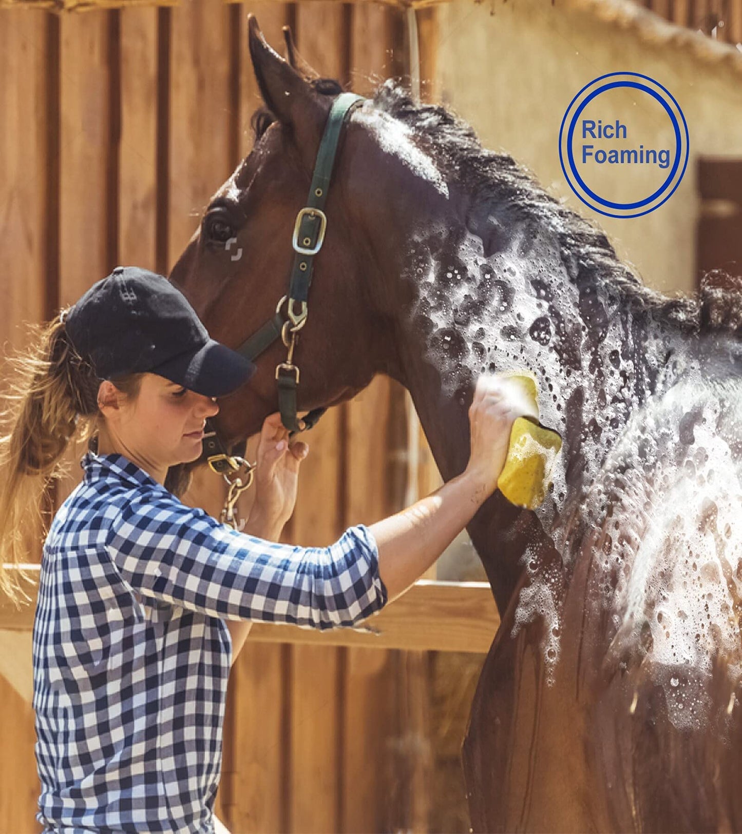 Ueemph Horse Grooming Kit (12-Piece): Brushes, Storage Bag, Sweat Scraper, Mane Comb, Grooming Gloves, Horse Gift for Girls (Black)