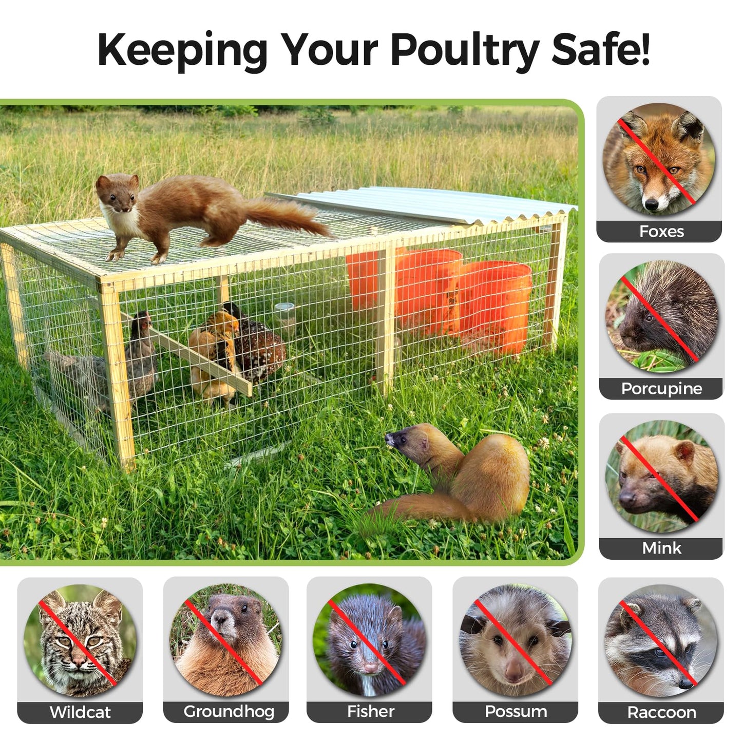 Lienffy Hardware Cloth 1/2 Inch 36inx100ft 19 Gauge Chicken Wire Fencing Hot dip Galvanized Welded Wire Mesh Roll Poultry Netting Rabbit Cage Chicken Run Coop Deer Garden Metal Fence DIY Crafts