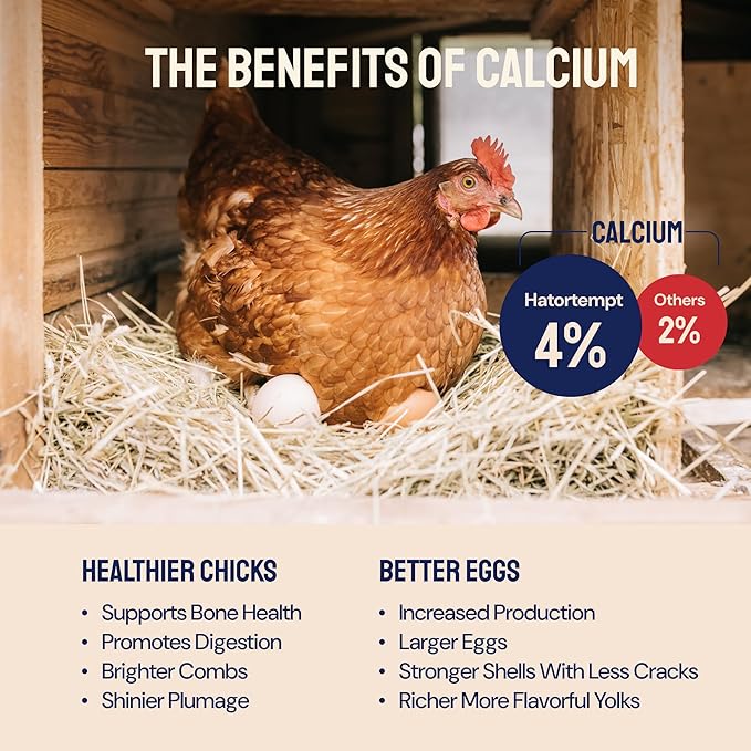 Chicken Feed & Treats - 10 Lb Non-GMO Bulk Larvae & Grubs - High-Protein Food for Laying Hens & Poultry - Grubs & Worms for Chickens & Bluebird Food - Calcium-Rich Supplement
