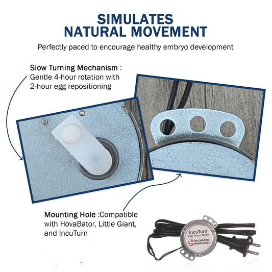 Incubator Warehouse Replacement Egg Turner Motor - High Performance Turner for Incubator - Eggs Turning for Little Giant or HovaBator - Rotating Motor for Chickens Ducks Goose