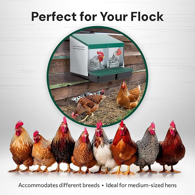 Compact Style 2 Compartment, Forward Rollout & Rollaway, Hen & Chicken Nesting Box with Protective Egg Laying Collection Lids