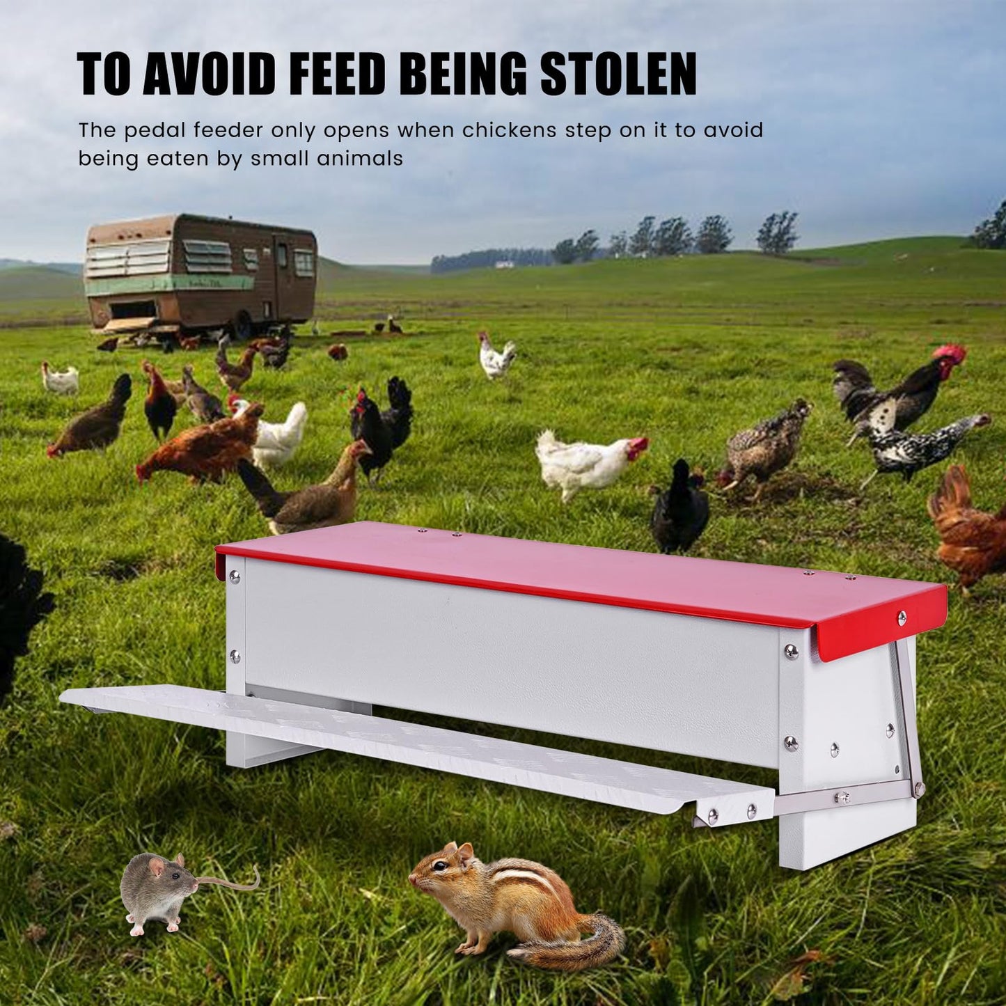 PAMUNULA 15lb Automatic Chicken Feeder Rat Proof Large Treadle Poultry Feeder with Rainproof Lid Outdoor Chicken Feeders for Duck Pheasants Roosters Bantams