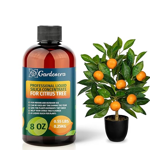 𝐏𝐑𝐄𝐌𝐈𝐔𝐌 Liquid Silica Plant Supplement - 8oz (250mL) - Citrus Tree Plants Liquid Silica Boost Fertilizer - Stronger Stems & Healthy Leaves for Indoor & Outdoor Citrus Trees (Makes 45 Gallons)