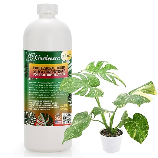 𝐏𝐑𝐎𝐅𝐄𝐒𝐒𝐈𝐎𝐍𝐀𝐋 Liquid Silica Plant Supplement - 32oz - THAI CONSTELLATION Bioavailable Silica Fertilizer – Ideal for Hydroponics & Soil – Indoor & Outdoor Monstera Plants (Makes 180 Gallons)