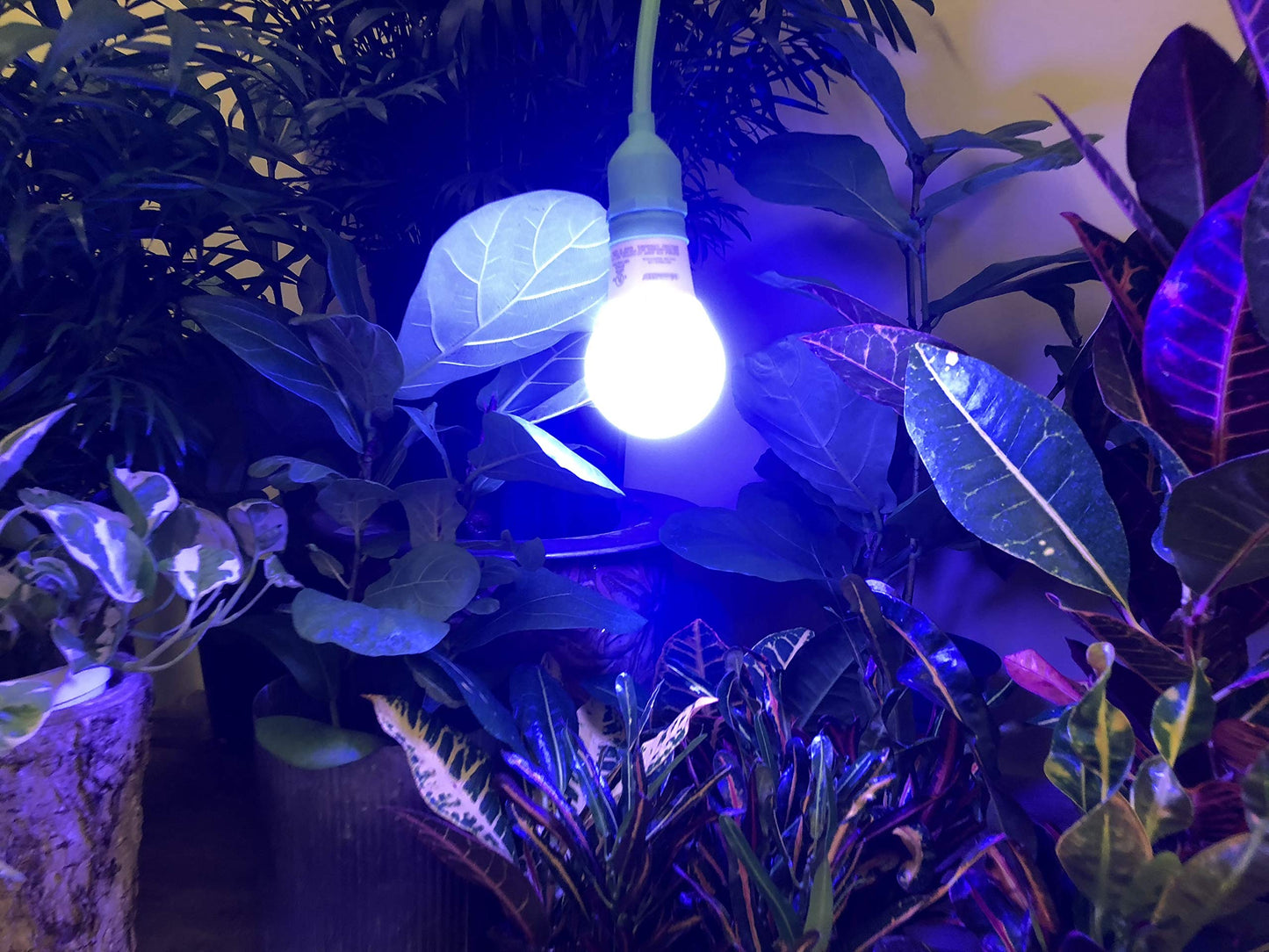 Miracle LED Under The Canopy Indoor Grow Light Kit - Double Plant Yield - Ultra Grow Blue Spectrum 150W Replacement Grow Bulbs & 4-Socket Corded Fixture with SproutMatic Timer (4-Pack)