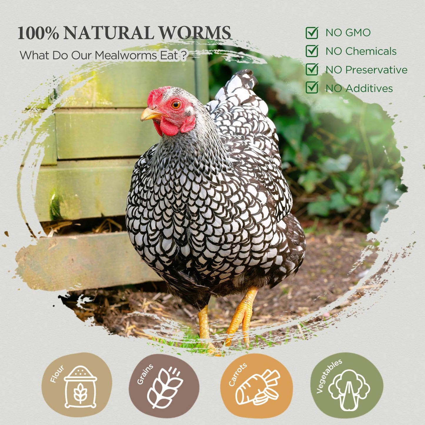 COOHGRUBS Dried Mealworms for Birds, Non-GMO High Protein Chicken Treats & Poultry Feed, 2 lb Bag
