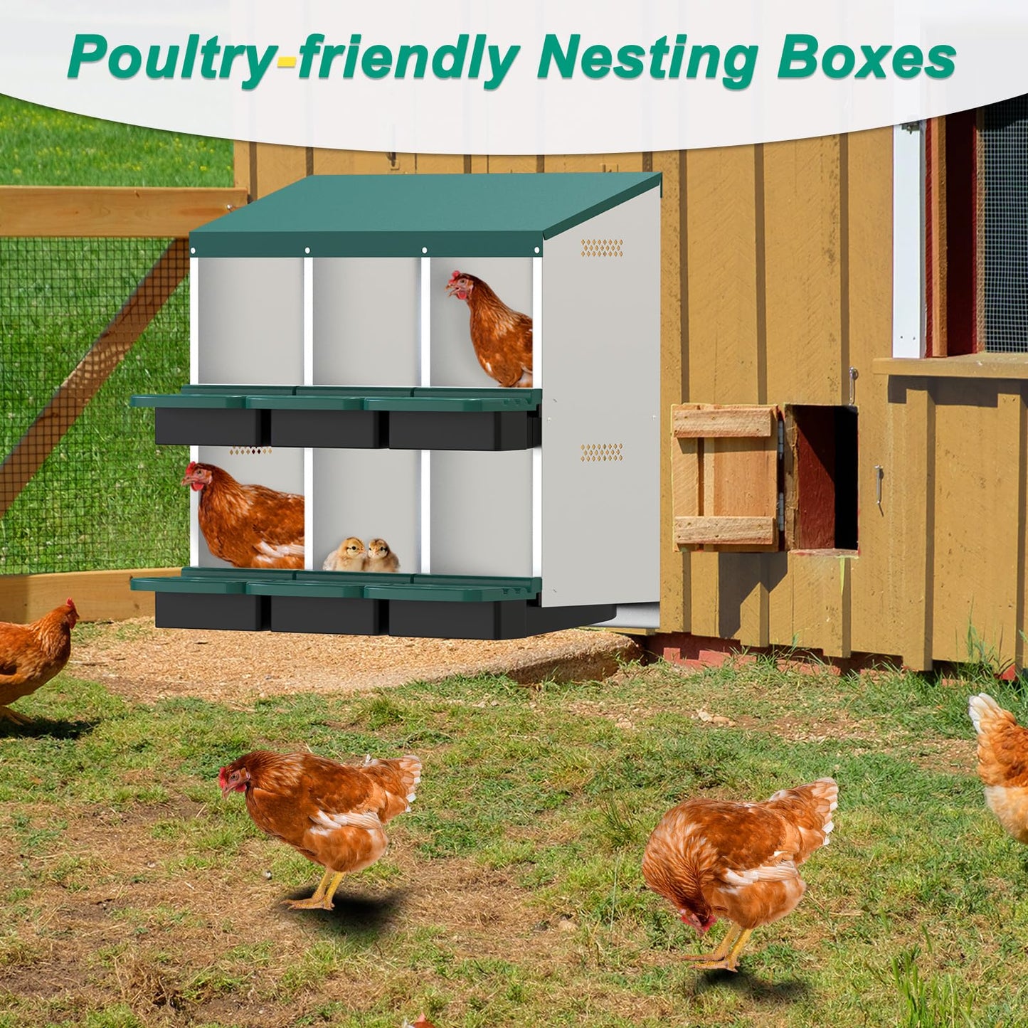 M METERXITY Chicken Nesting Box, 6 Compartments Metal Chicken Laying Boxes with Roll Out Egg Collection, Plastic Fake Eggs, Install Accessories and Gloves for Hens/Goose/Duck/Rabbit, Green