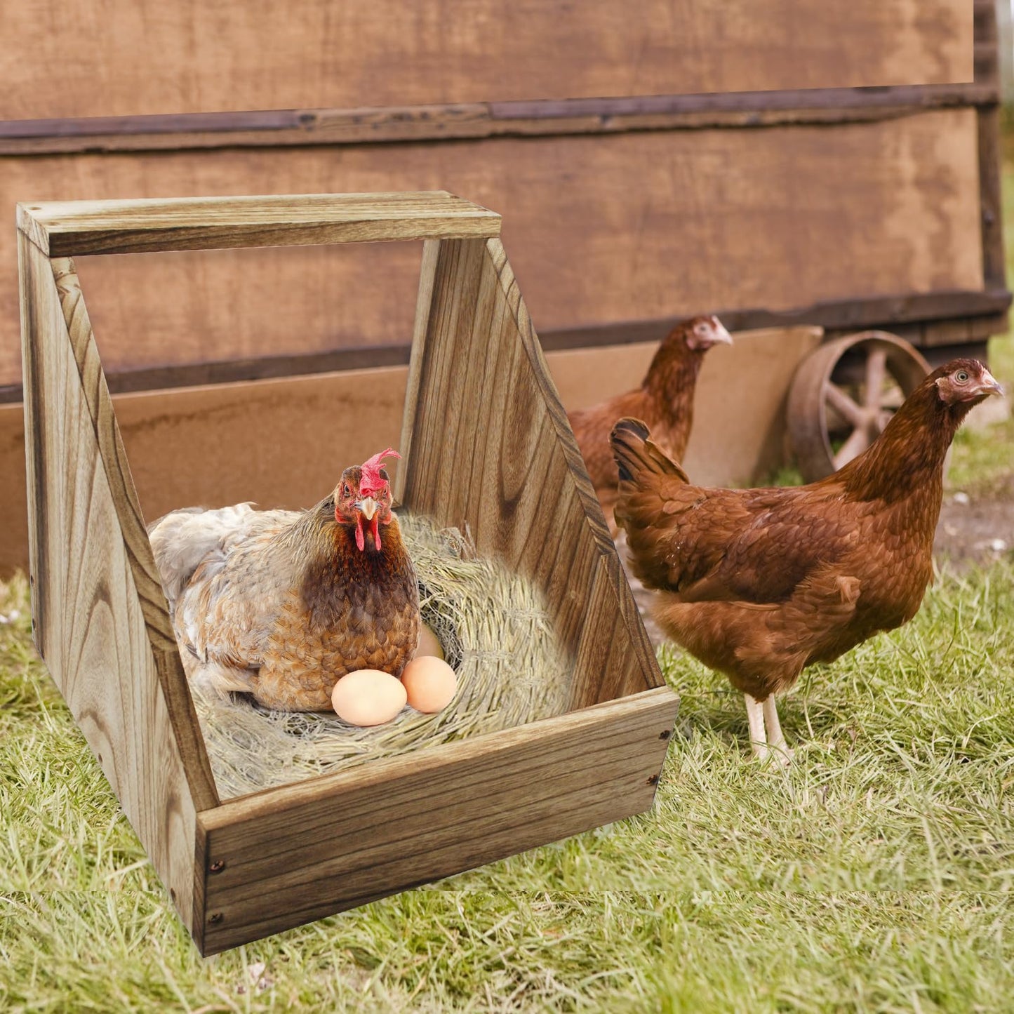 MUYG Chicken Nesting Box,Wooden Single Compartment Chicken Nesting Boxes Chicken Coop Accessories Easy Assembly Hen Nest Boxes Large Duty Laying Nest Box for Chickens Hens Ducks Poultry