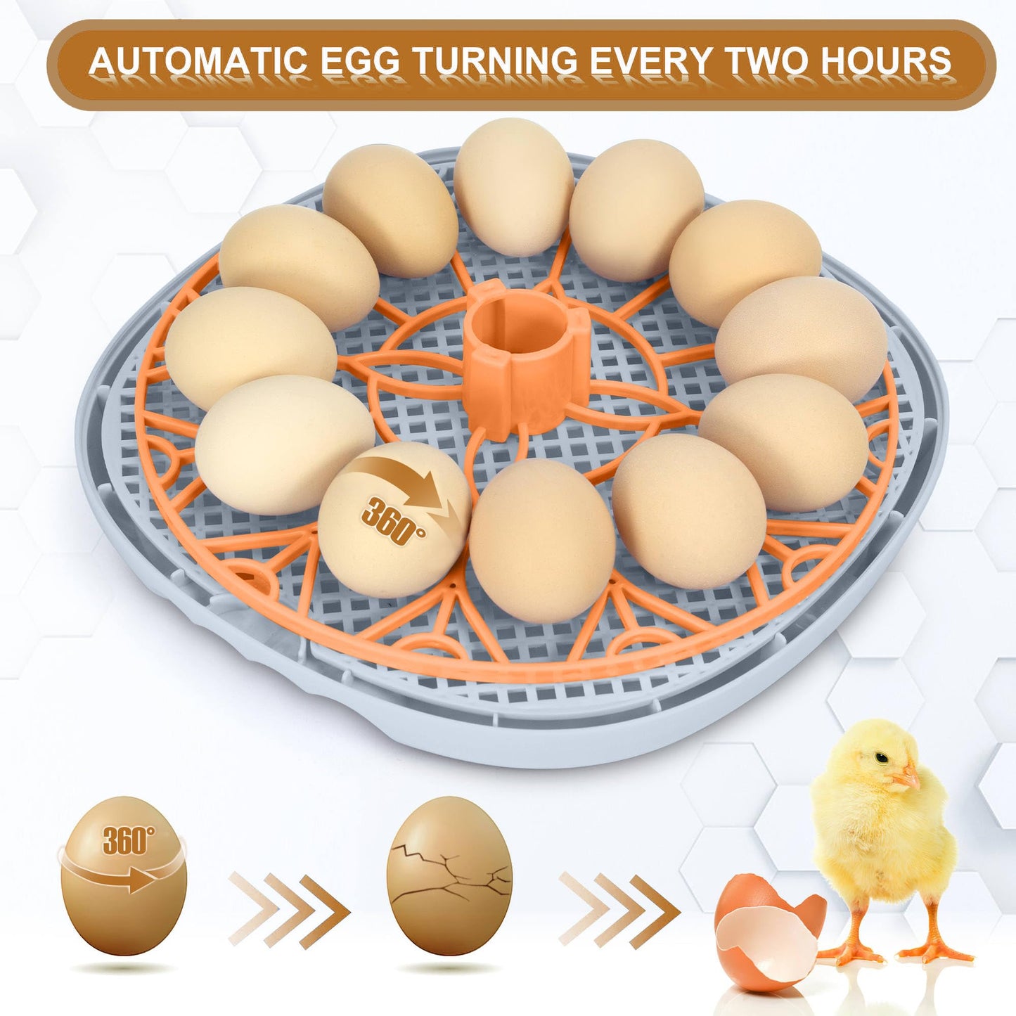 WYD2ANG Smart Chicken Incubators for Hatching Eggs with Automatic Turner Small Poultry Duck Quail 12 Egg Incubator Temperature Control Display Hatcher Machine (Mechachick, ℉)