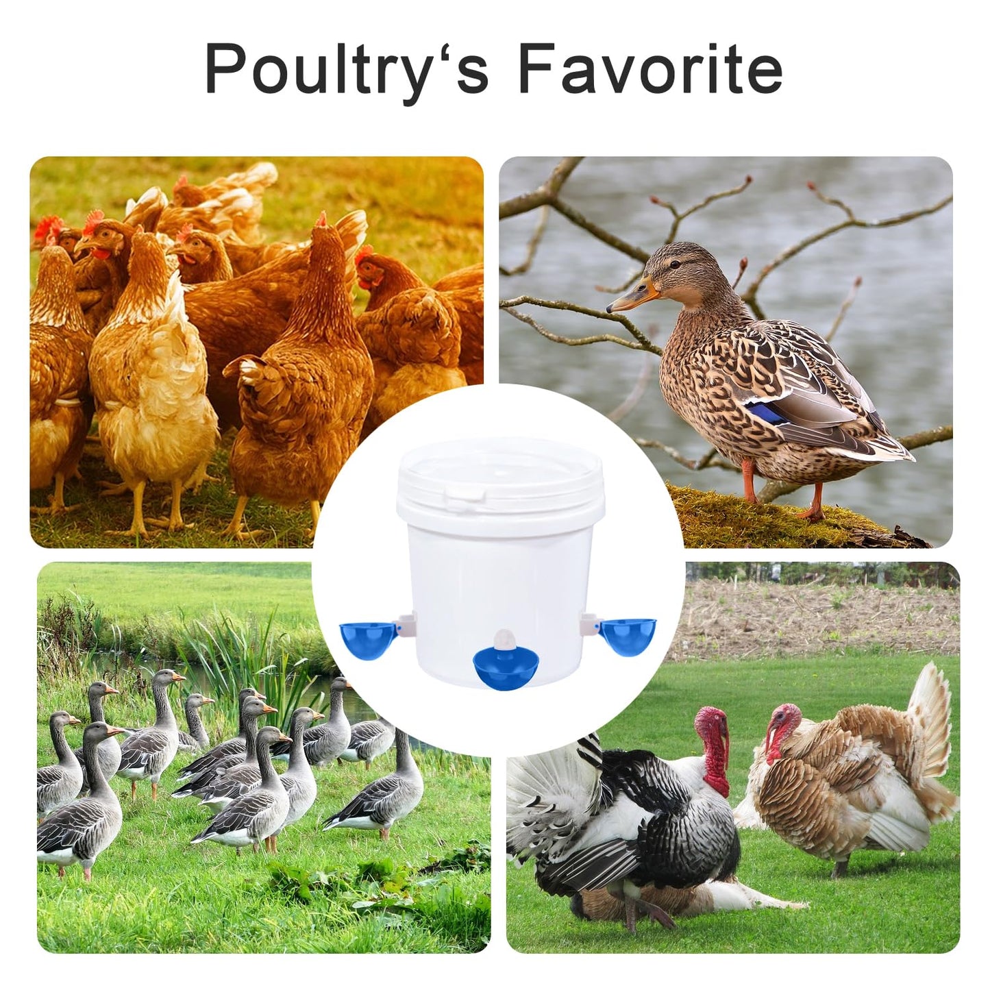 Chicken Waterer Cups, 8 Packs Blue Large Chicken Watering Cups, Automatic Chicken Water Cups, Tee Fittings Poultry Feeder Cups Suitable for Chicken, Duck, Goose, Turkey with Mounting Hole Opener