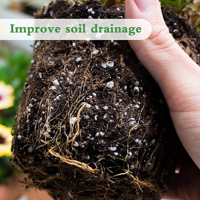Perlite, 10QT Premium Organic Perlite for Plants, Enhances Soil Drainage and Aeration, Perfect Perlite for Plants Indoor & Outdoor, Horticultural Perlite for Gardening, Perfect for Potting Mixes