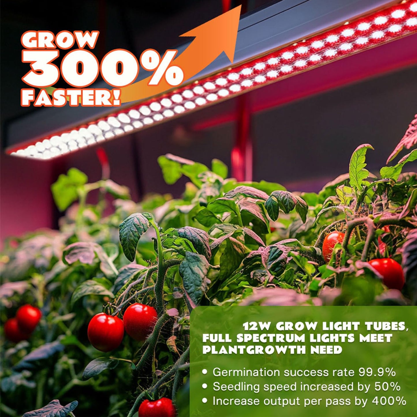 Large 3-Tier Indoor Hydroponics System Kit with Grow Lights, Double Water Pump Indoor Garden, and 72 Large Pods for Vegetables Herbs Microgreens