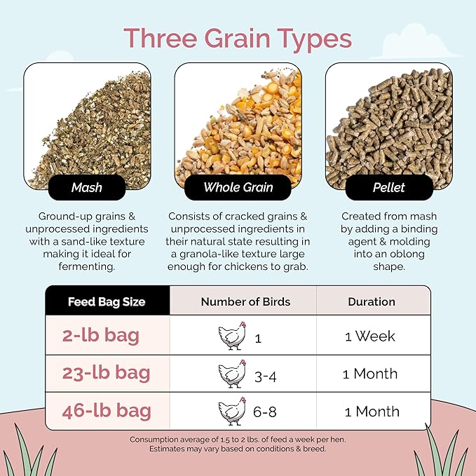 Layer Organic Chicken Feed | 16% Protein | Mash | Certified Organic, Non-GMO, Corn-Free, Soy-Free, Non-Medicated, US Grown Chicken Feed | 23 lbs