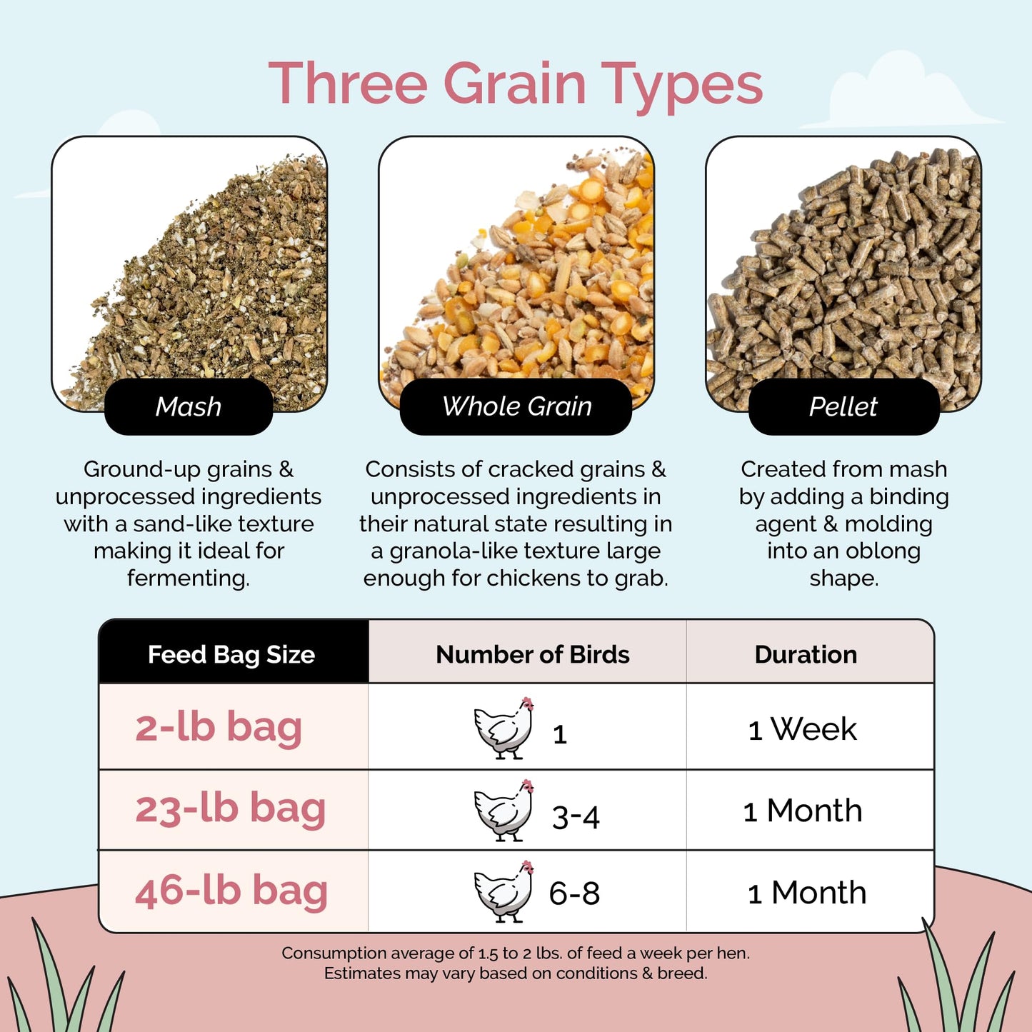 Mile Four Organic Chicken Feed – Layer Mash, Non-GMO, USA Grown, 16% Protein, Corn-Free, Soy-Free, Non-Medicated Feed for Chickens, 2 lbs Sample
