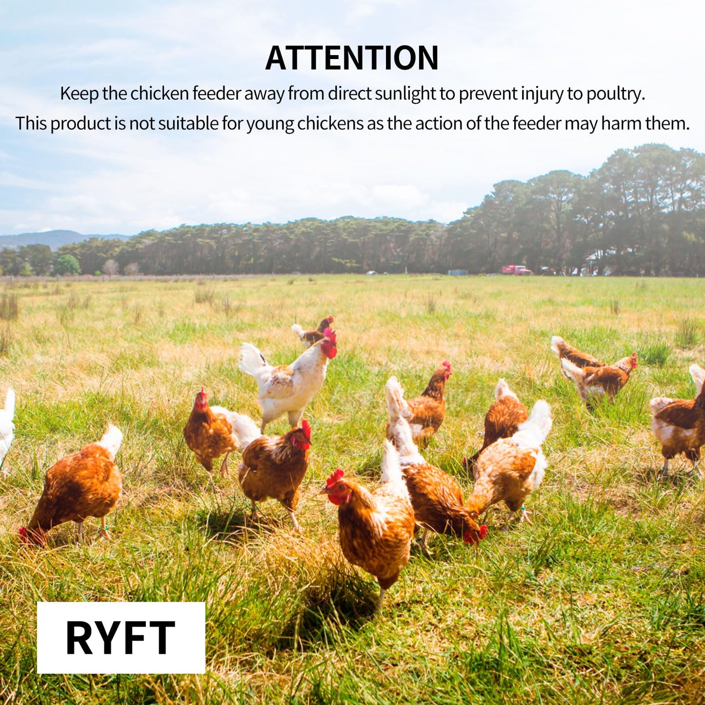 RYFT Automatic Chicken Feeder 25 lb Galvanized Steel Poultry Feeder, Up to 12 Chickens 10 Days with Weatherproof Lid, for Chickens, Ducks, Fowl