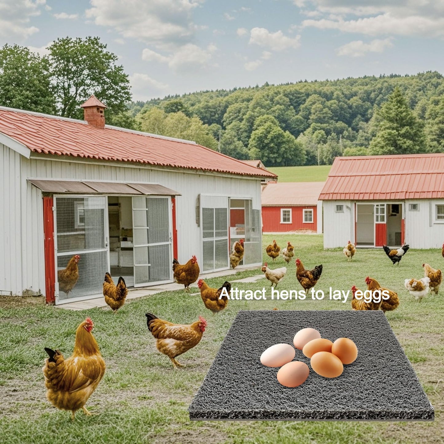 Serendipresent Washable Nesting Pads for Chicken Coop – 8 Pack 12x12 Inch Reusable Chicken Nesting Mats with 4 Fake Eggs, Easy Clean & Durable Laying Box Accessories for Hens (Gray)