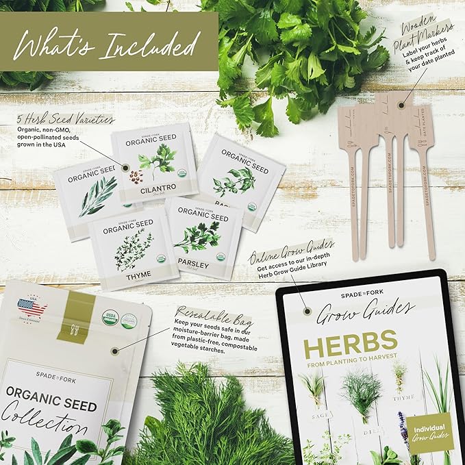 5 Certified Organic Herb Seeds Variety Pack (4X More) 2,800+ Non GMO Seeds for Planting Indoor Herb Garden or Outdoor Herb Garden Seeds for Planting | Including Basil, Cilantro & More