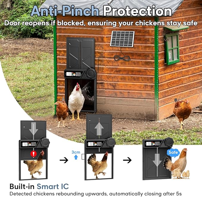 Large Size Automatic Chicken Coop Door Solar - Powered Auto Chicken Door Opener, Timer Modes for Safe and Convenient Chicken Keeping with Intelligent Obstacle Sensors, Remote Control, 14.2"H x 10.83"L