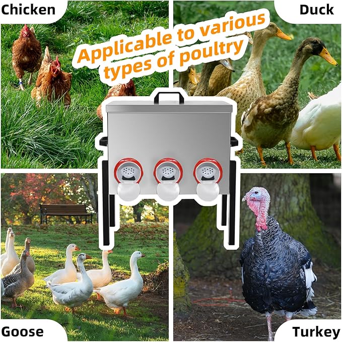 Automatic Poultry Chicken Feeder No Waste Metal Large Capacity 30 lbs Feeders for Chickens Ducks, Geese Bantams Pheasants Coop Weatherproof (6-Port)