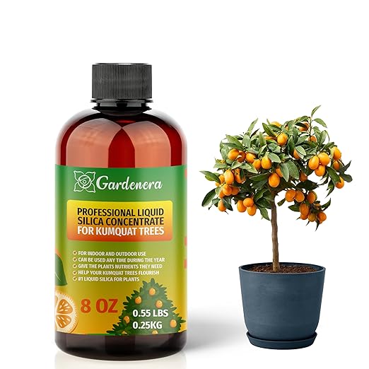 𝐏𝐑𝐄𝐌𝐈𝐔𝐌 Liquid Silica Plant Supplement - 8oz (250mL) - Kumquat Trees Liquid Silica Boost Fertilizer - Stronger Stems & Healthy Leaves for Indoor & Outdoor Kumquat Trees (Makes 45 Gallons)