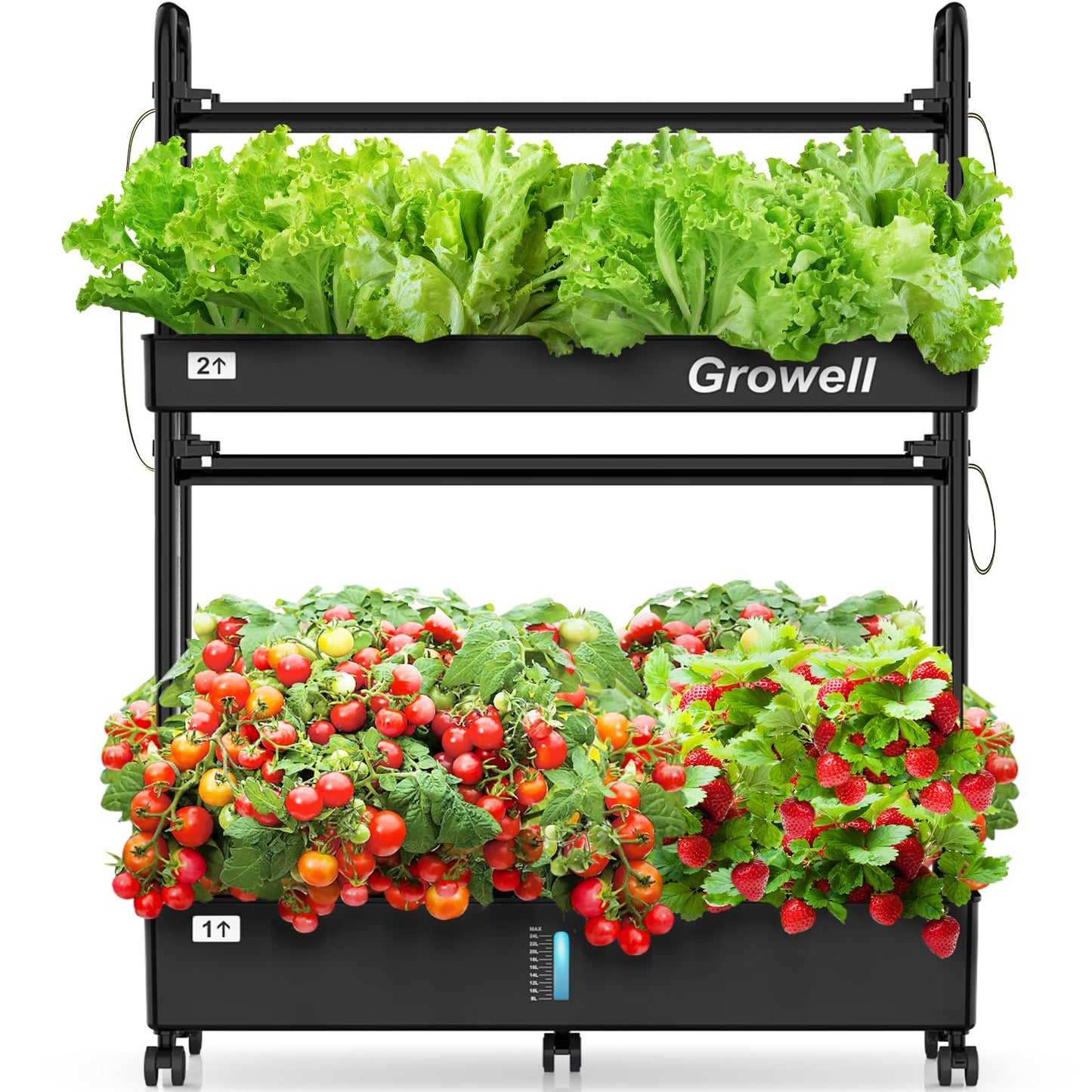 Growell 60 Pods Hydroponics Growing System Kit & 182 Pcs Seed Pod Kit