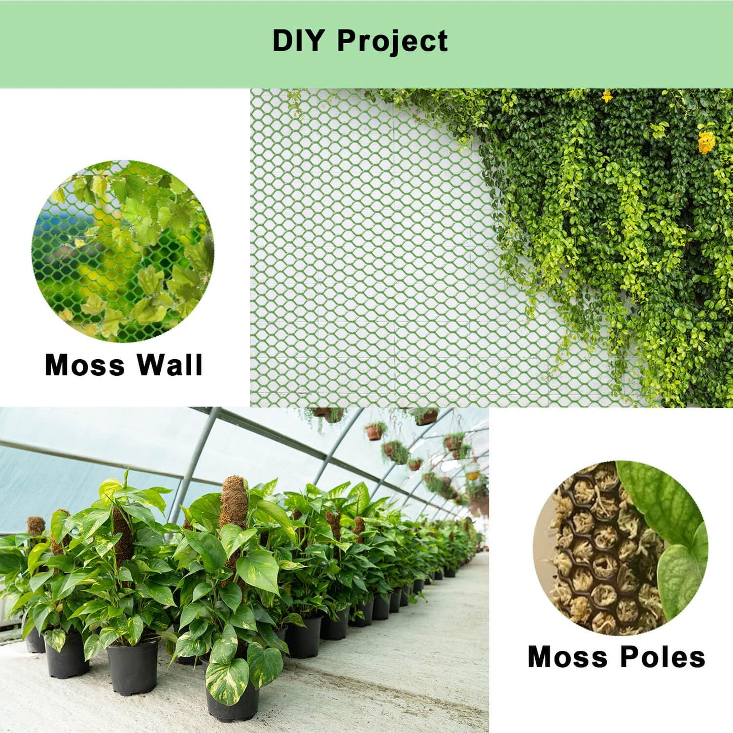 vensovo Black Plastic Wire Mesh 15.7IN x 10FT Roll - Chicken Wire Fencing for Poultry, Gardening Barrier, Balcony Guard for Cats and Dogs, Floral Craft Mesh with 20 Zip Ties