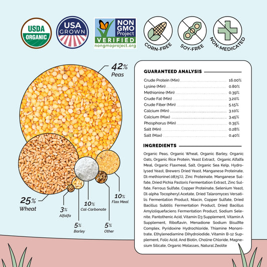Mile Four Organic Chicken Feed – Layer Pellet, Non-GMO, USA Grown, 16% Protein, Corn-Free, Soy-Free, Non-Medicated Feed for Chickens, 2 lbs Sample