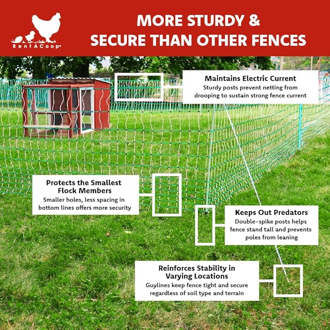 RentACoop Poultry Netting Electric Fence - Electric Poultry Enclosure for Chickens, Ducks, Turkeys - Suitable for 4 Week Old Chickens/Older and Adult Poultry - Energizer Not Included - 168' L x 42" H