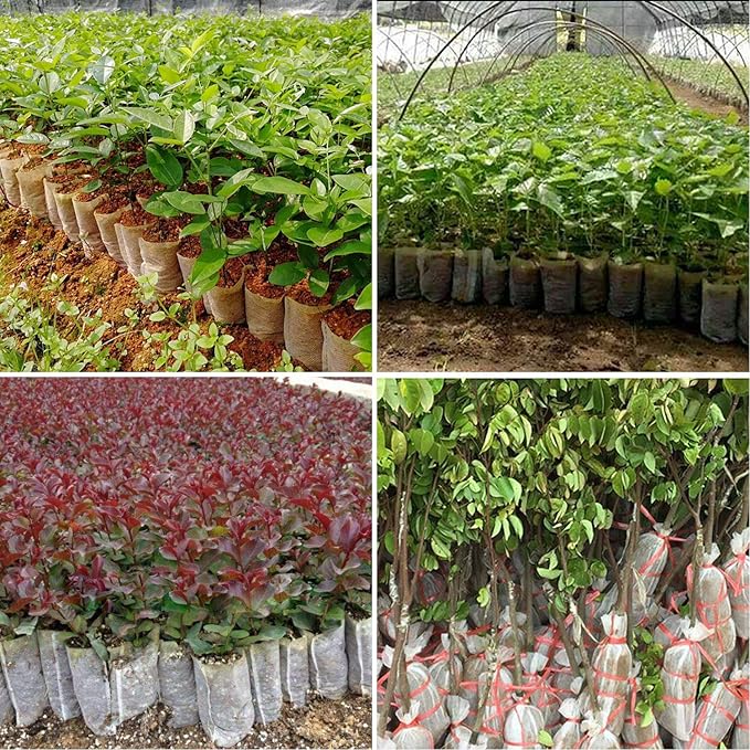 Augshy Nursery Growing Bags - 400pcs Fabric Plant Pots, Non-Woven Grow Bags for Seeding, Starter Seedling Plants, Home Garden, Outdoor, Greenhouse