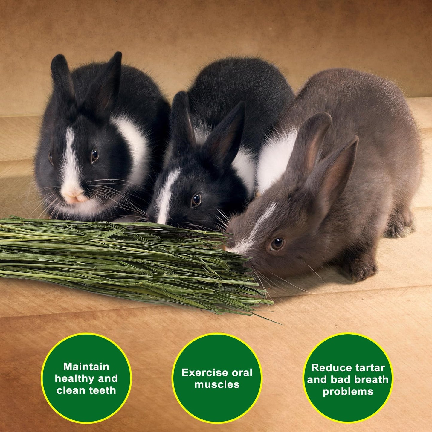 Ohcool Premium Oat Hay for Pets - Dust Free Natural Green Fresh Pet Food Hay for Rabbits, Guinea Pigs, Chinchillas, Hamsters & Gerbils - 1.1lbs