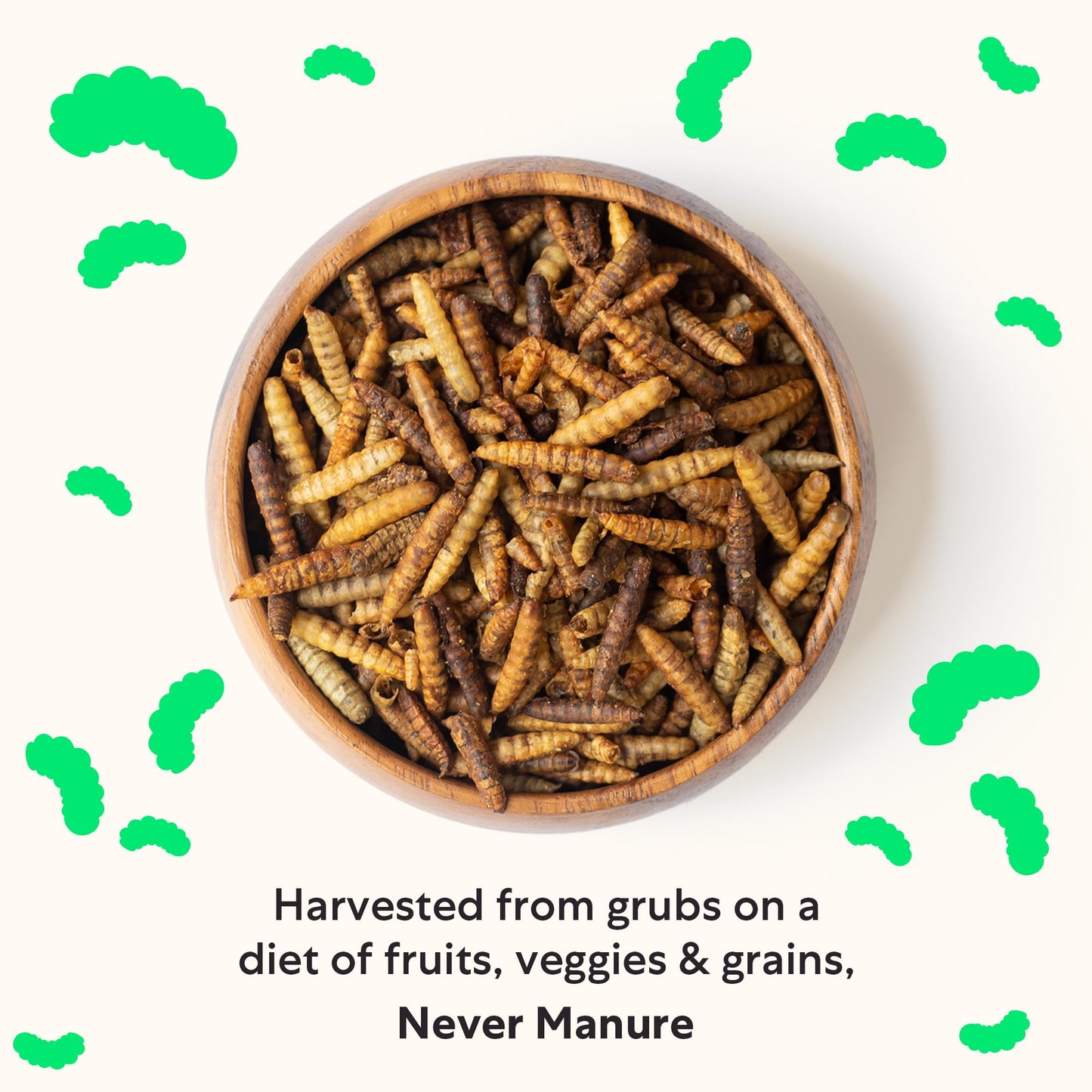 Grubblies - Black Soldier Fly Larvae for Chickens - Chicken Treats Grown in The US and Canada - for Strong Eggshells and Healthy Feathers - Grubblies Hometown Harvest 1LB