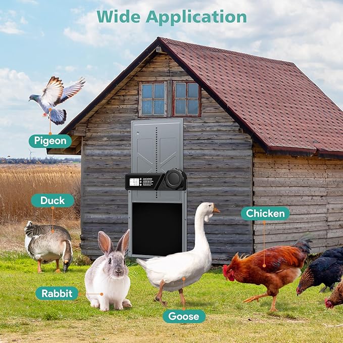 Large Automatic Chicken Coop Door, Aluminum Automatic Chicken Door with Manual & Timer Mode, Anti-Pinch & Battery Powered, LCD Display Chicken Door for Chickens, Ducks, and Geese