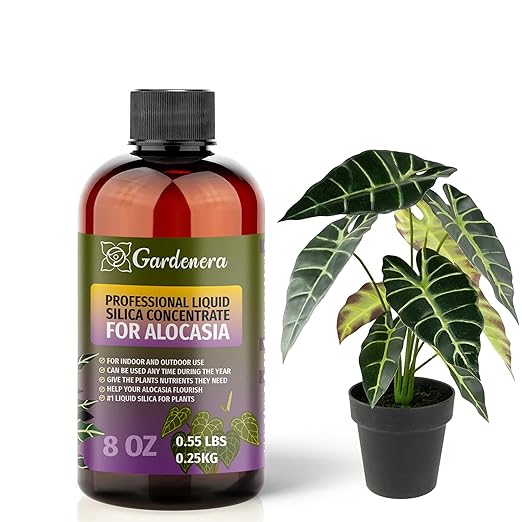 𝐏𝐑𝐄𝐌𝐈𝐔𝐌 Liquid Silica Plant Supplement - 8oz (250mL) - ALOCASIA Plants Liquid Silica Boost Fertilizer - Stronger Stems & Healthy Leaves for Indoor & Outdoor Alocasia Plants (Makes 45 Gallons)