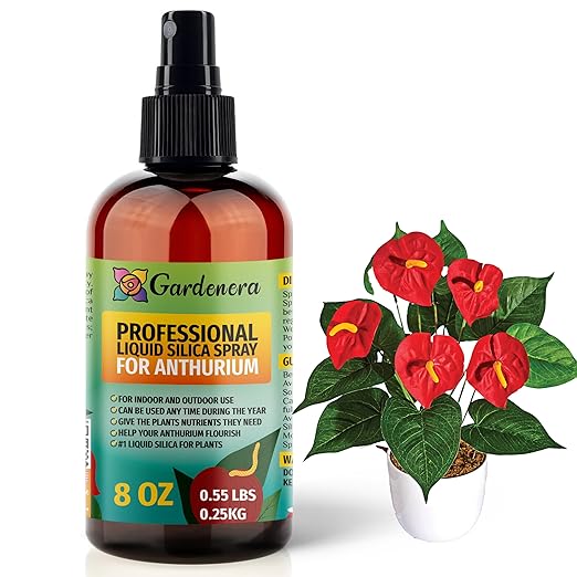 𝐒𝐔𝐏𝐄𝐑𝐈𝐎𝐑 Liquid Silica Boost Fertilizer and Supplement Spray for ANTHURIUM Plants – Pre-Mixed, Ready-to-Use Liquid Silicon Plant Superfood Mist for Indoor & Outdoor Plants – 8oz