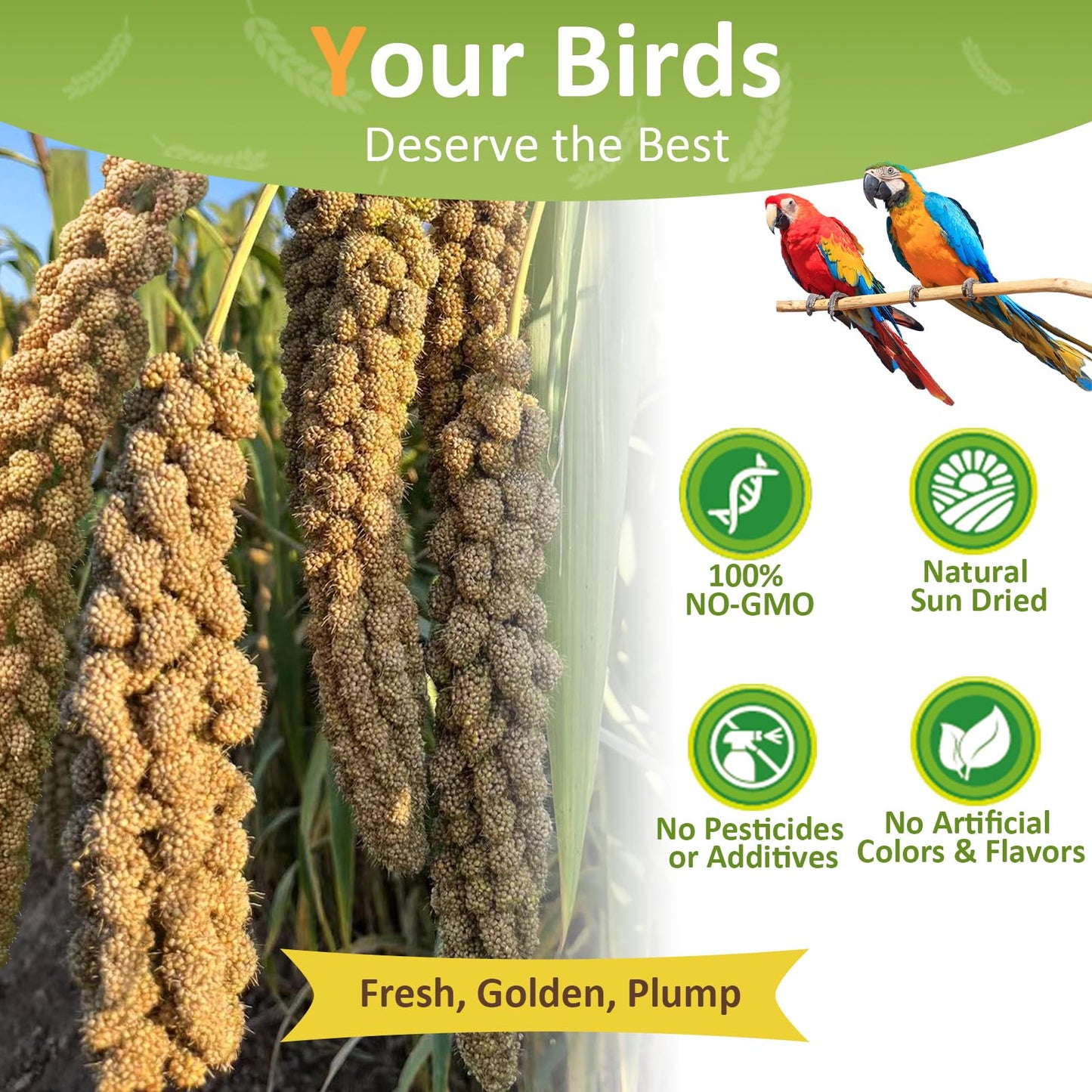 HATORTOP Spray Millet for Birds 5LB - All Natural Sun-Dried Healthy Treat, Millet Spray for Parakeets, Parrots, Lovebirds, Cockatiels Food, 100% Non-GMO High Protein Fresh Bird Seed