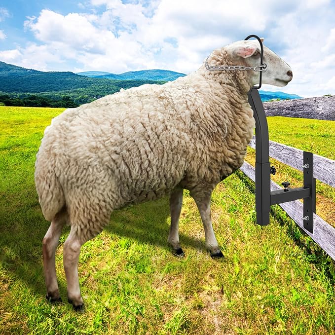 VEVOR Livestock Stand Steel Gate Attachment Nose Loop Headpiece, 9.8inch Height and Trimming Stand 5.9inch Length Adjustable, Nose Loop Goat Trimming Stands, Sheep Shearing Stand for Sheep & Goats