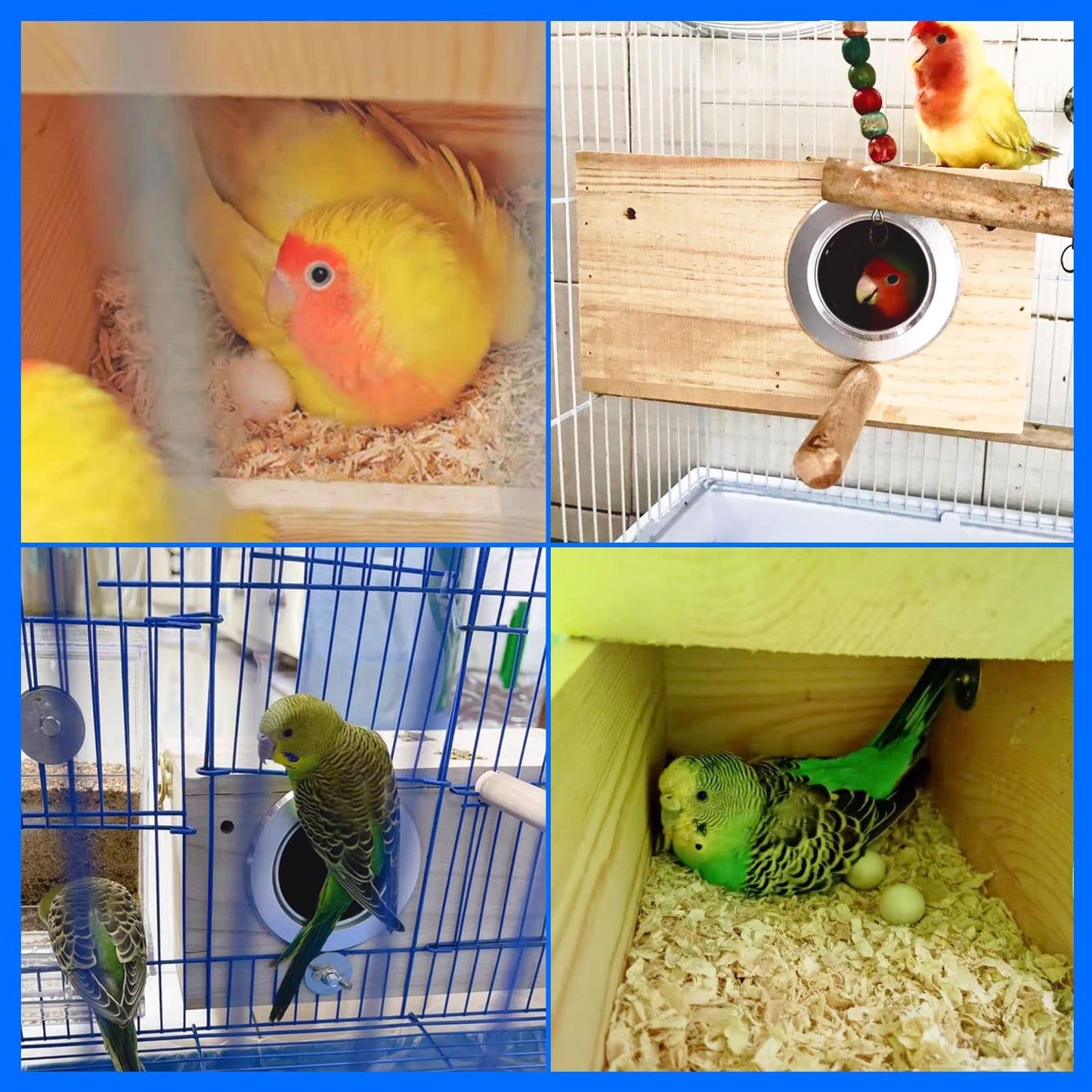 kathson Parakeet Nest Box Budgie Nesting House Cockatiel Breeding Parrots Mating Box for Lovebirds Small and Medium-Sized Birds（M）